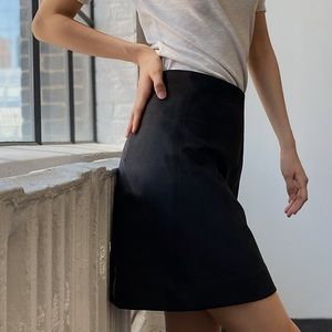 Aritzia Vegan Suede Mini Skirt
